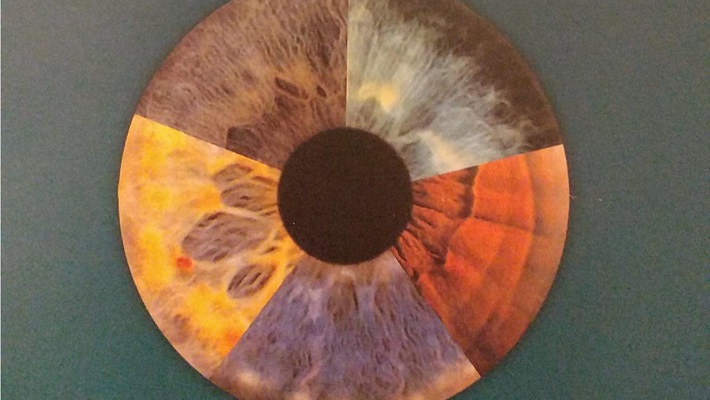 -ultrasound-s-710400